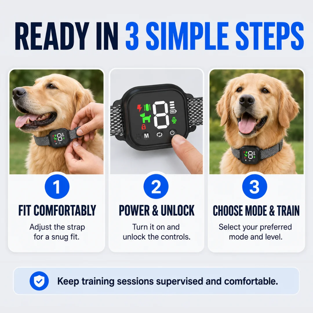Step illustration showing a dog and collar fit